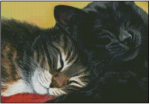 (image for) Head to Head